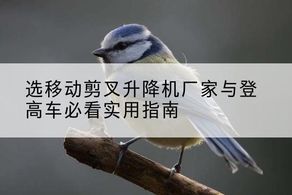 彝良电动升降机厂家-选移动剪叉升降机厂家与登高车必看实用指南