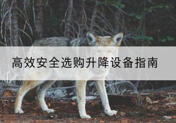彝良升降货梯厂家推荐-*安全选购升降设备指南