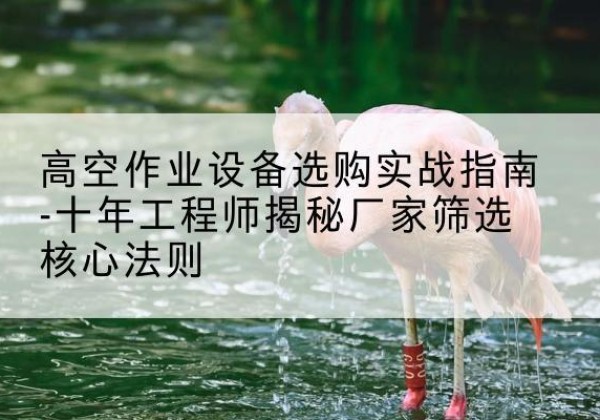 彝良剪叉式升降机厂家-高空作业设备选购实战指南-十年工程师揭秘厂家筛选核心法则